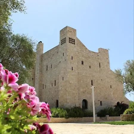 ホテル Torre Domini 3*